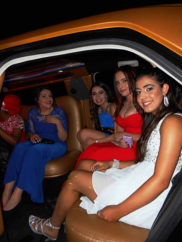 One hour Limo Cruise